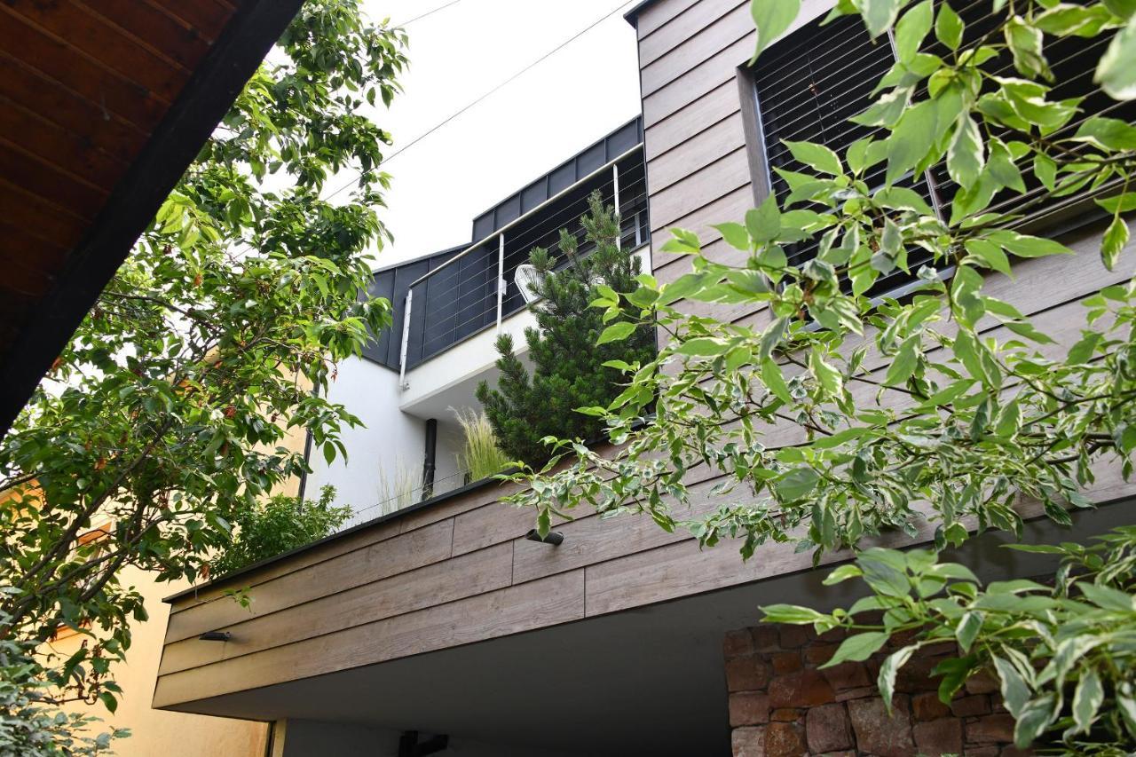 Gite Contemporain L'Hirondelle Guemar Bagian luar foto